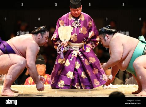  Die japanische Meisterschaft der Sumo-Ringer 2019: Ein Triumph für den jungen Takakeisho